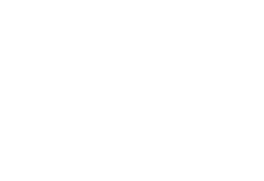 BearMarketBullies